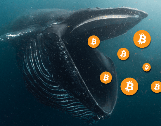 Bitcoin whale (Courtesy: Twitter)