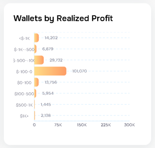 Polymarket User Wallets