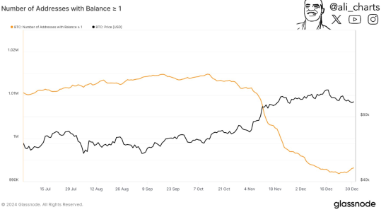 Bitcoin Addresses Holding At Least 1 BTC Drop by 18,530 in Two Months