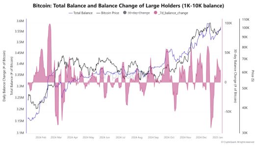 Whales Resume Bitcoin Accumulation After Major Selloff