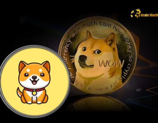 All You Need to Know About Doge Coin, Baby Doge Coin, and Their Market Trends