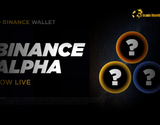 Binance Alpha's Token Selections: A Performance Overview