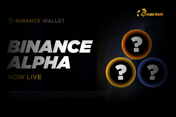 Binance Alpha's Token Selections: A Performance Overview