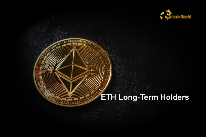 ETH long-term holders rise to 75% in 2024, BTC declines to 62%.