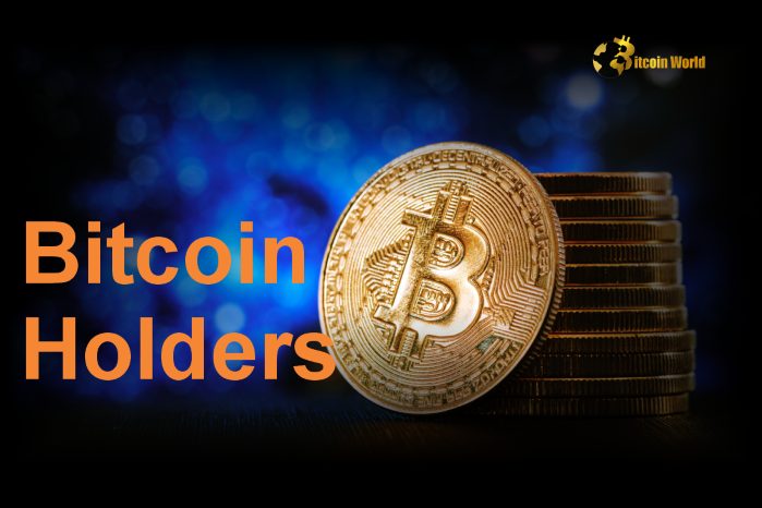 Substantial Increase in Crypto Holders in the Last Two Years, Reports Santiment