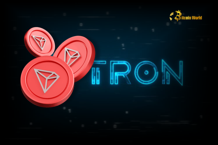 TRON Network Processes $5.46 Trillion in USDT Transfers in 2024, Up 48% from 2023