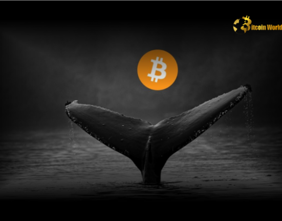 Whales Resume Bitcoin Accumulation After Major Selloff