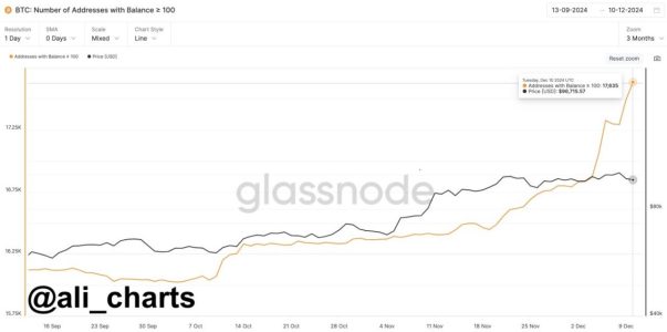 Whales Bought More Bitcoin Despite Dip