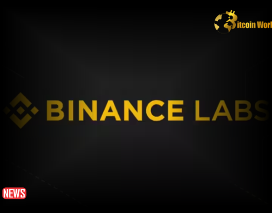 Binance Labs Invests in Modular Layer-1 Blockchain Project Particle Network