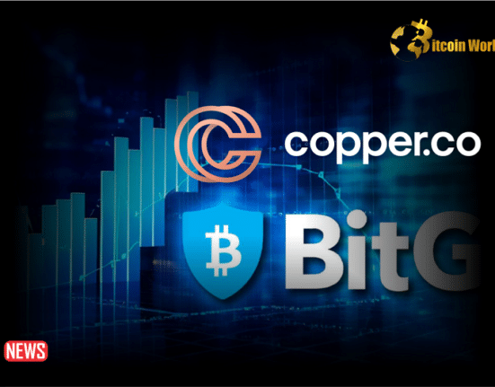 BitGo and Copper Combine Crypto Custody Settlement Networks
