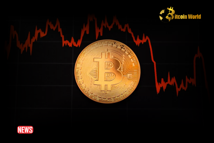 Why Did Bitcoin (BTC) Price Decline? What’s Happening To Bitcoin Price? Here is the Latest Liquidation Data