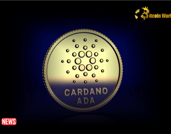 ADA Price Rose 36.5% in Two Weeks as Cardano Sees Increased Whale Transactions and Address Activity