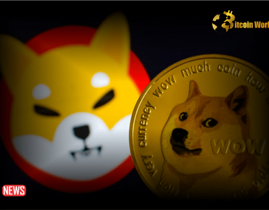 Dogecoin HODLERs Are Beating Shiba Inu With 57% Landing In Profits