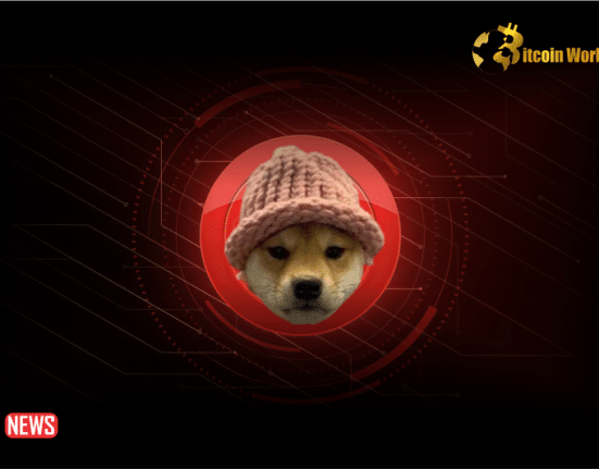 The Price Of Dogwifhat, New Solana Meme Coin, Rose 50%