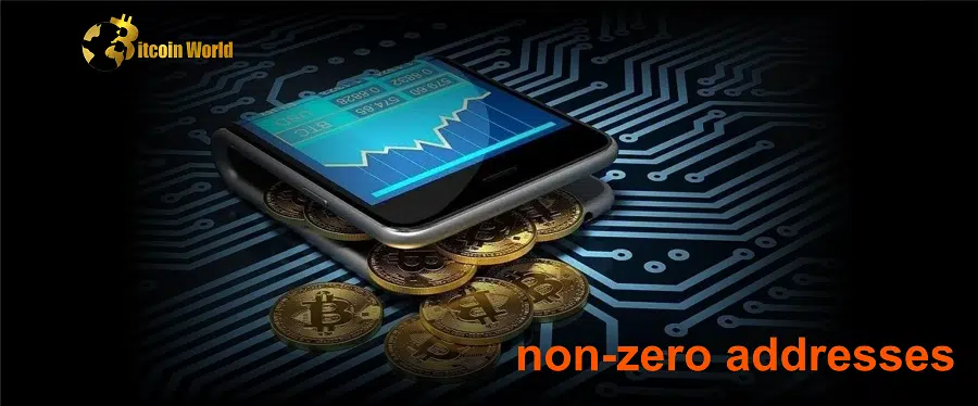 Bitcoin Hits Record M Non Zero Addresses Thanks To Ordinals