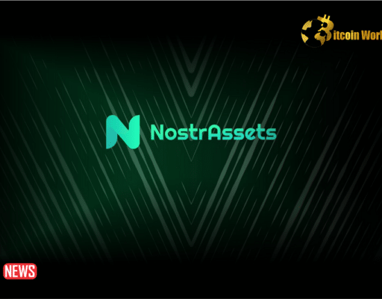 Nostr Assets Temporarily Halts Deposit Functions Amidst Surging User Activity