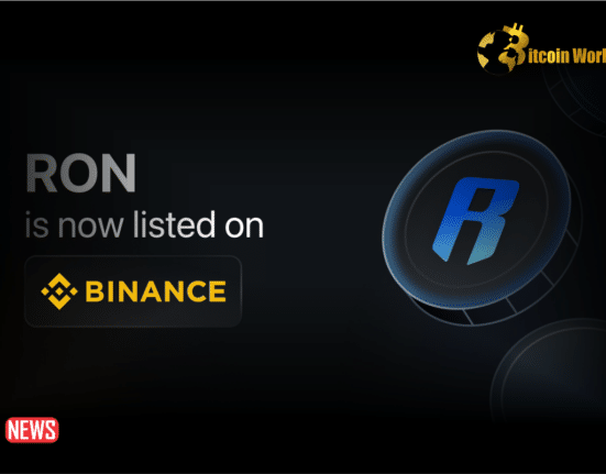 Cryptocurrency Exchange Binance Addresses Ronin Listing Controversy