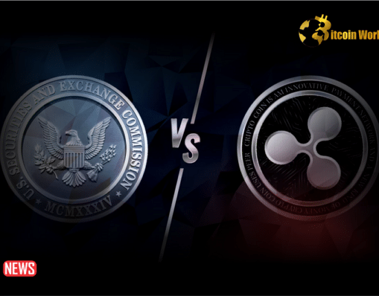 SEC Losing Focus on Investor Protection: Ripple CEO
