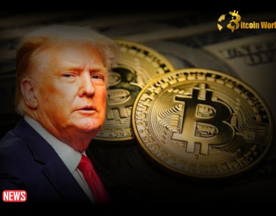 US Presidential Candidate Donald Trump Says US’s Competitor in Crypto is China! He Said He Will Release a New NFT! Here are the Details