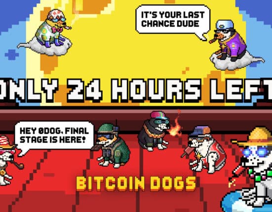 Bitcoin Dogs Raises Over $11.5 Million and Enters Final 24 Hours