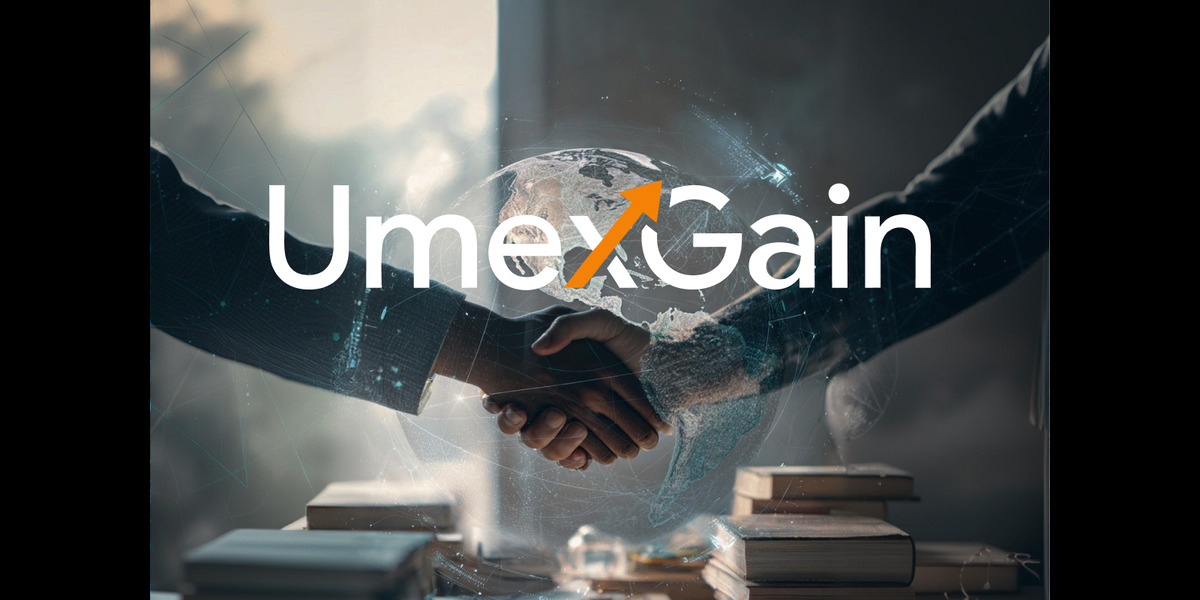 How UmexGain Helps Clients Maximise Market Potential