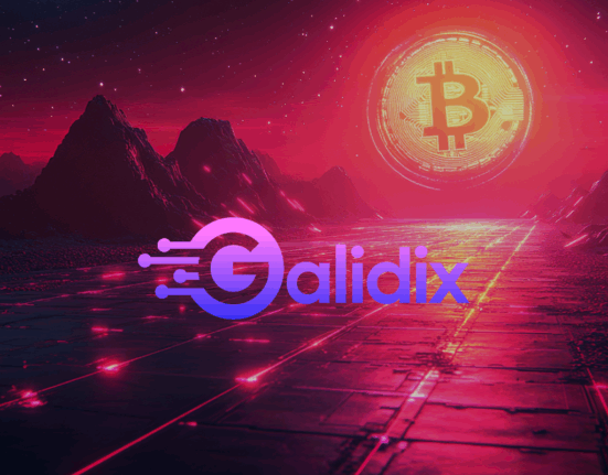 Galidix expands support team, boosting customer capabilities