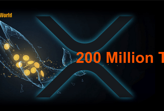 XRP Whales Move Over 200 Million Tokens After Rapid Accumulation Period