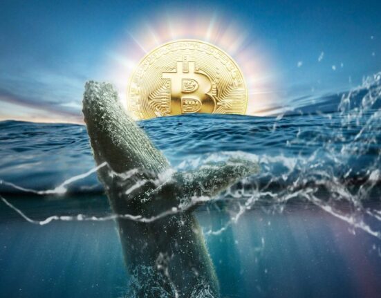 Bitcoin Whales' Trend Hints At 5-Price Digit In July
