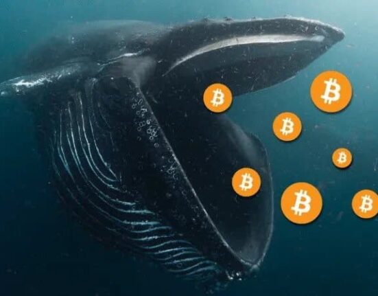 Bitcoin Accumulation Surges Amid Reduced Volatility and Stagnant Prices