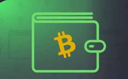 Active Bitcoin Wallets Hit 1 Million Daily: A Sign of Rising Adoption