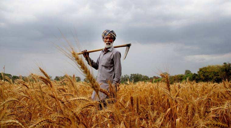 Indian farmers (Indian Express.Com)