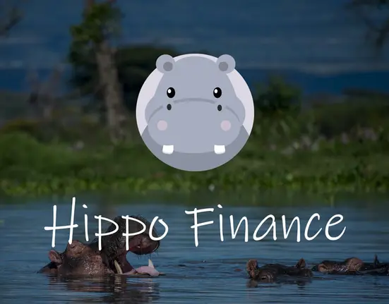 Hippo Finance Unveils Community-Governed DeFi Hedge Fund
