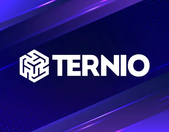 Ternio Joins Visa’s Fast Track Program to Revolutionize Crypto Payments