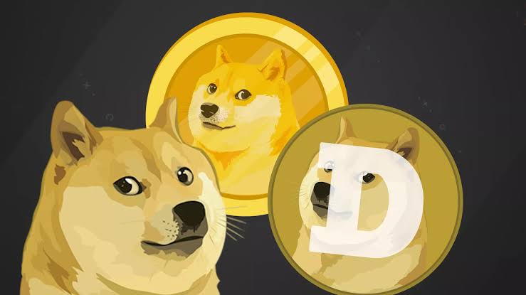 Dogecoin (DOGE) approved by Flare Community as F-Asset