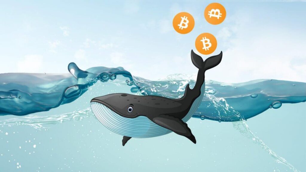 Two Whales withdrew billions of Bitcoins from Coinbase