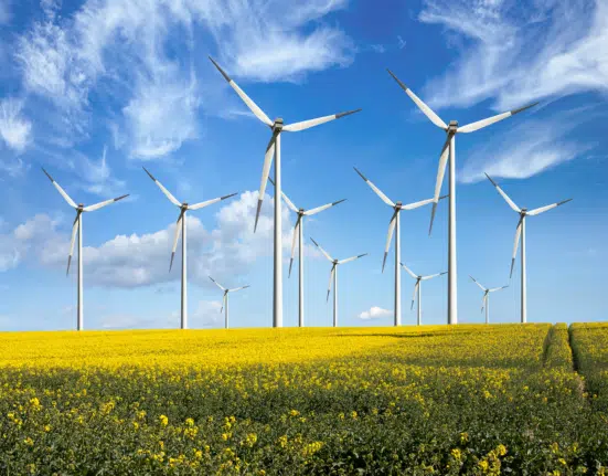 Crypto Leaders Advocate for Renewable Energy to Sustain Bitcoin Mining Amid Tesla's Exit