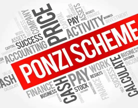 Europol Dismantles Vitae Ponzi Scheme, Recovers €2.5 Million