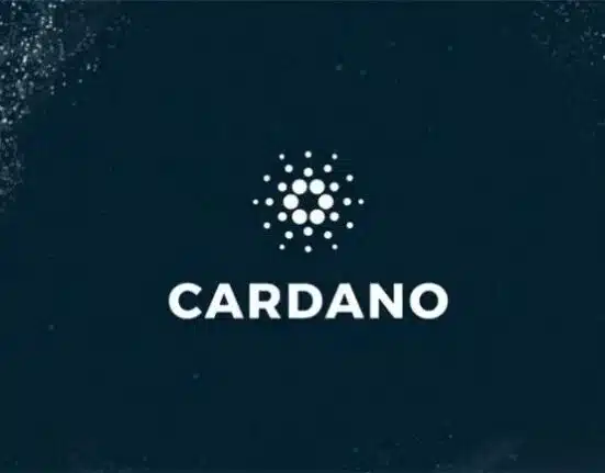 Michaël van de Poppe: Cardano can skyrocket to this 'Insane' price