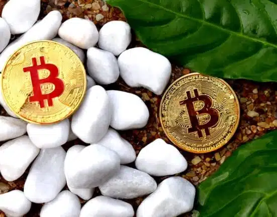 Market Capitalization