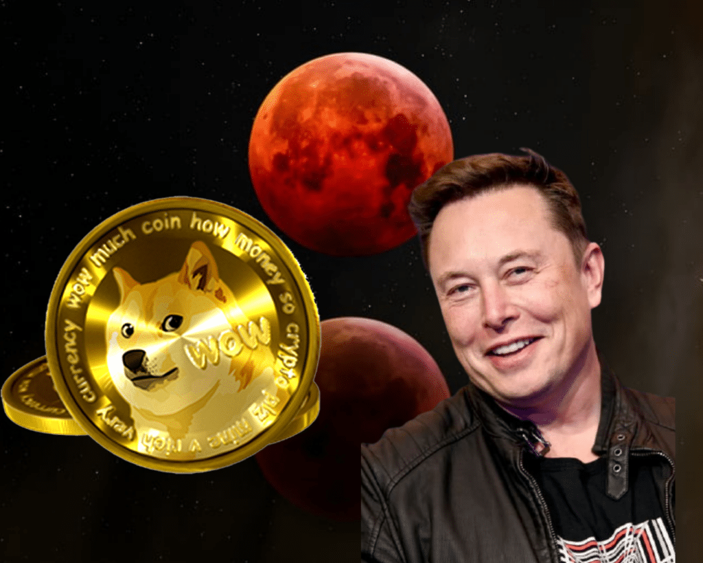 Elon Musk Now Worth 861 Billion DOGE, He Plans to Use It to Extend Life