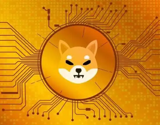 Shiba