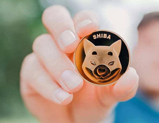 Shiba