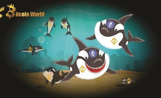 Decoding Whale Wallets: Ethereum Rivals Dominate Top BSC Holdings