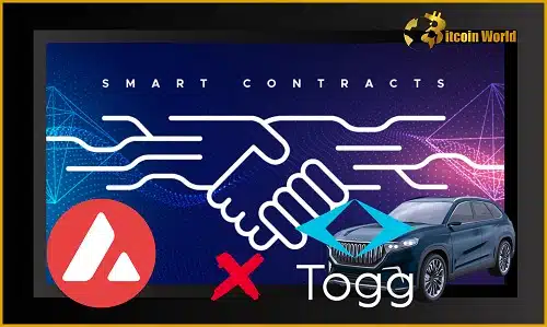 Togg and Ava Labs Drive into the Future: Blockchain-Powered Mobility for Electric Vehicles