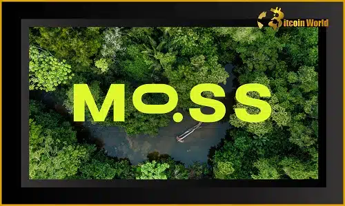 Moss