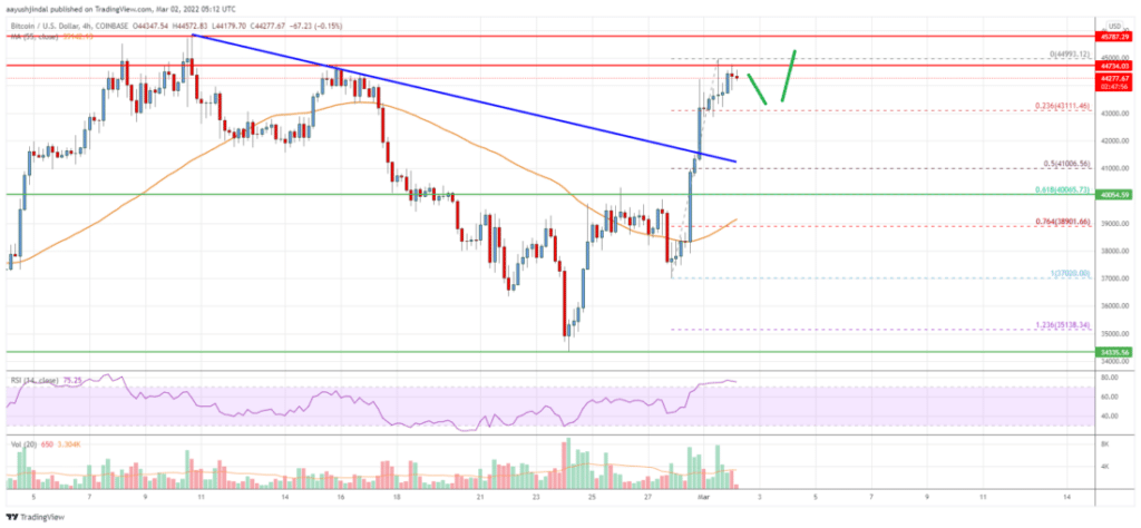 Bitcoin price chart analysis
