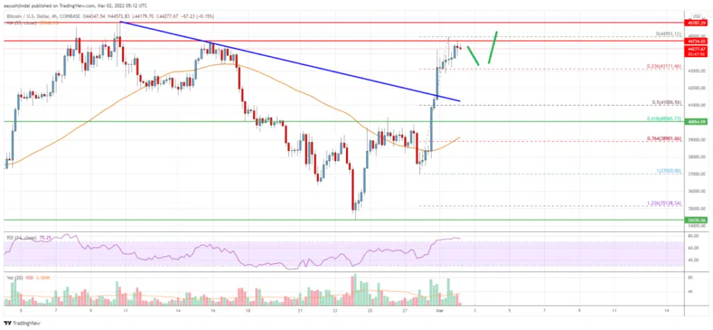 Bitcoin price chart analysis