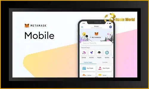 MetaMask