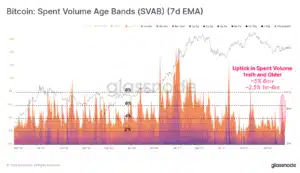 Decoding Bitcoin Market Signals: Are Long-Term Holders De-risking, or is Hodling Still the King?