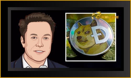 As the price of DOGE rises, the Musk Effect strikes once more